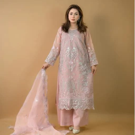 Light Pink Embroidered Organza Salwar Kameez – Stitching Available